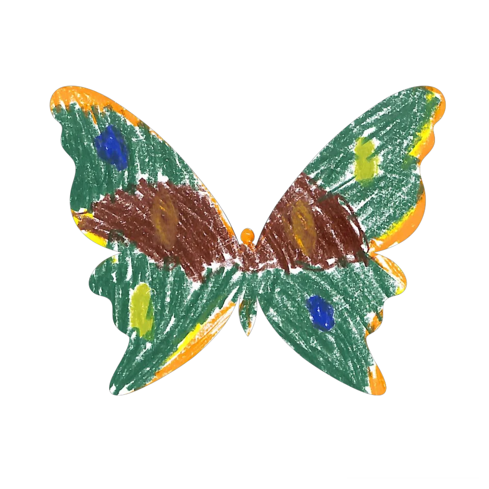 Original Butterfly Image