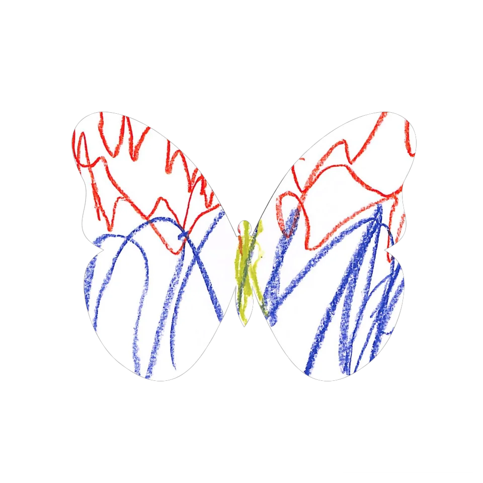 Original Butterfly Image