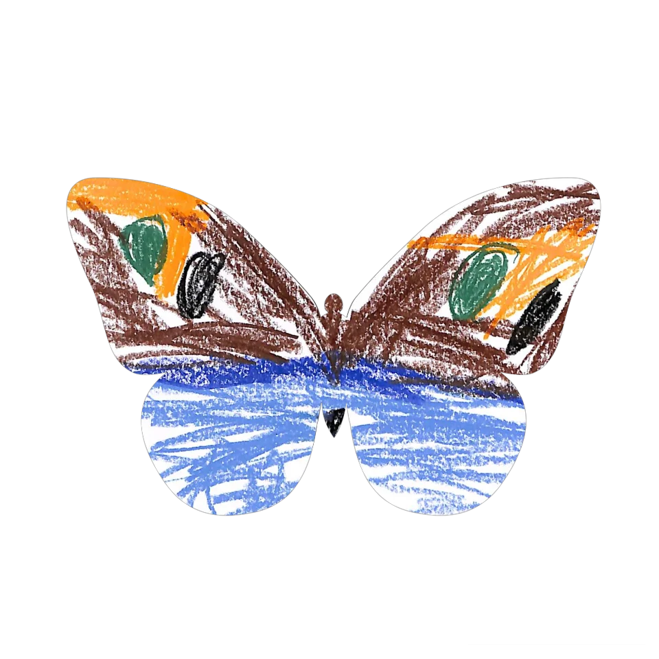 Original Butterfly Image