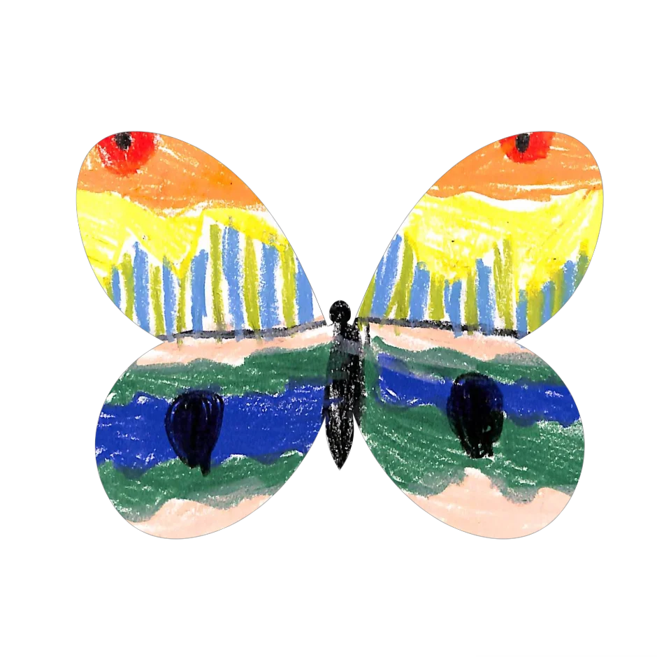 Original Butterfly Image