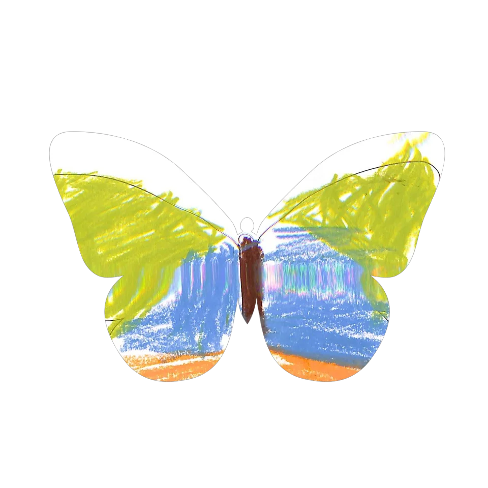 Original Butterfly Image