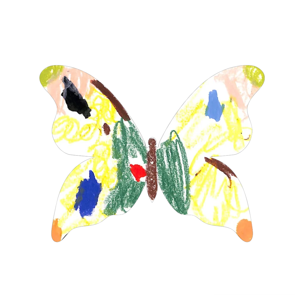 Original Butterfly Image