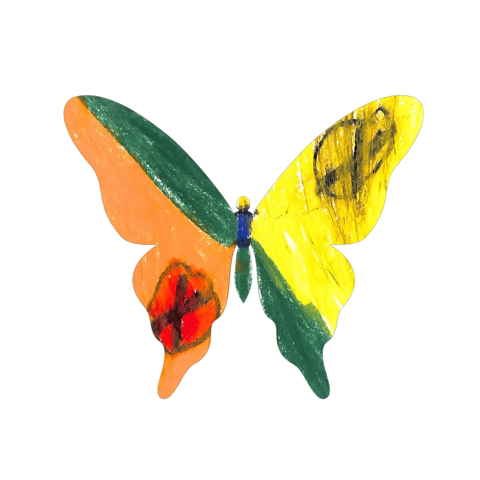 Original Butterfly Image