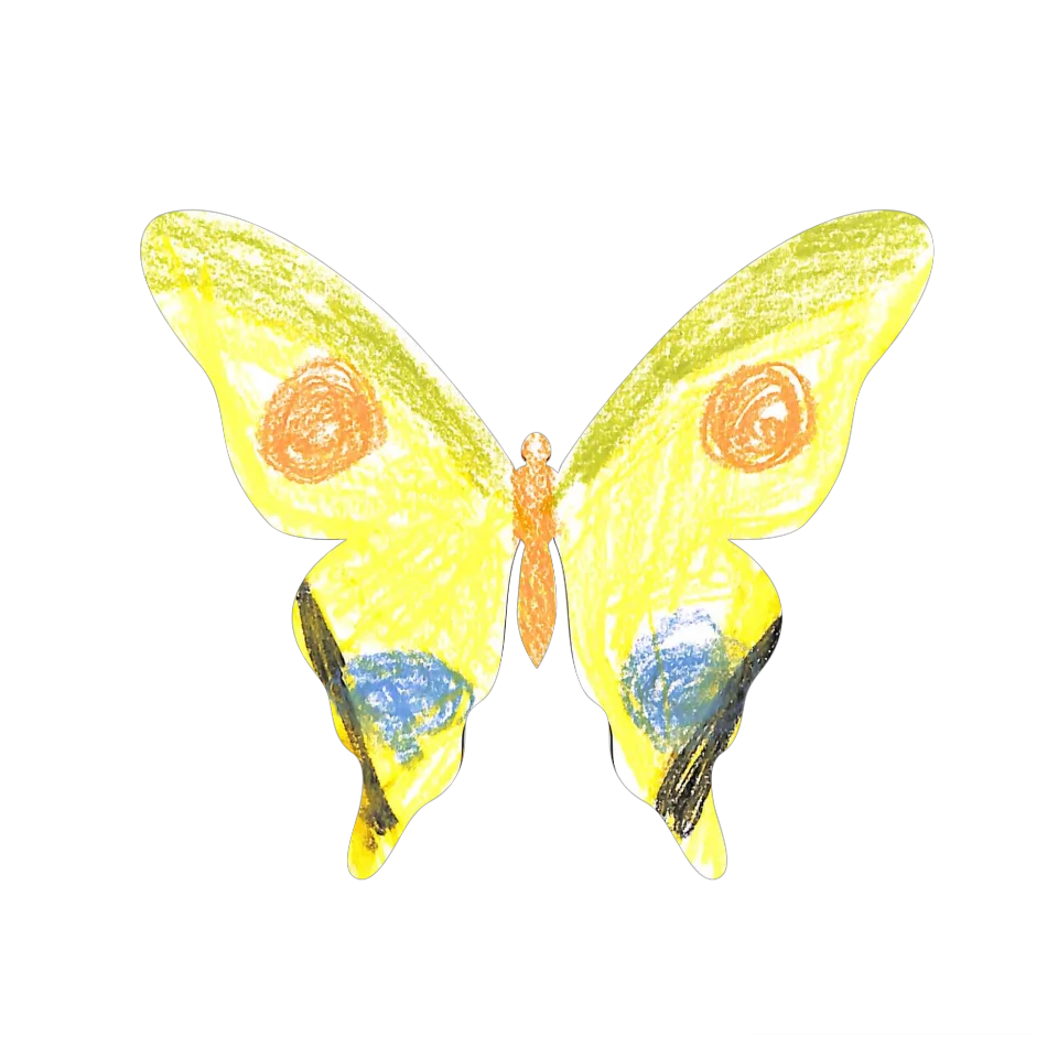 Original Butterfly Image