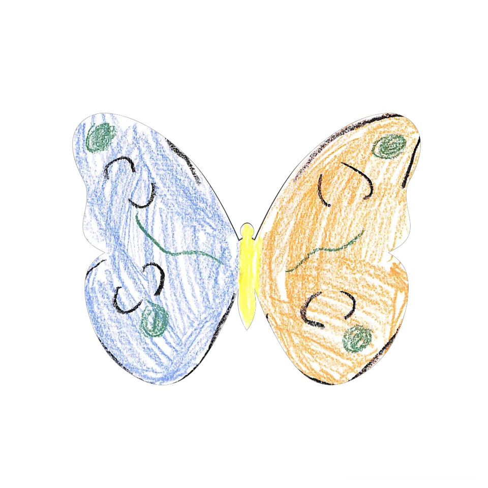 Original Butterfly Image