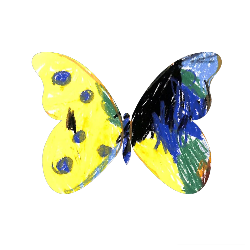 Original Butterfly Image
