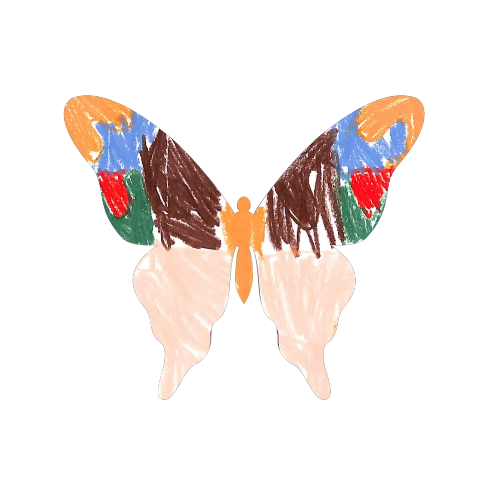 Original Butterfly Image