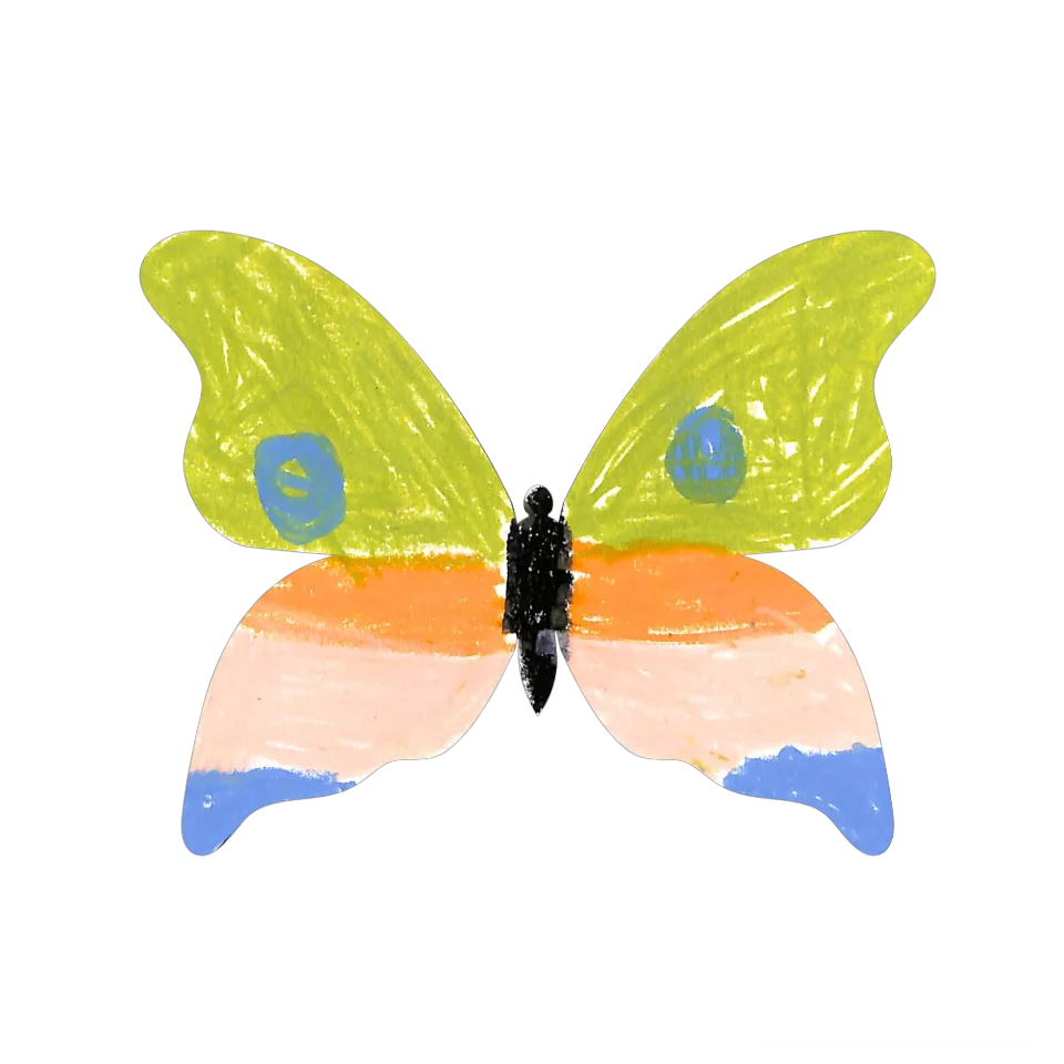 Original Butterfly Image
