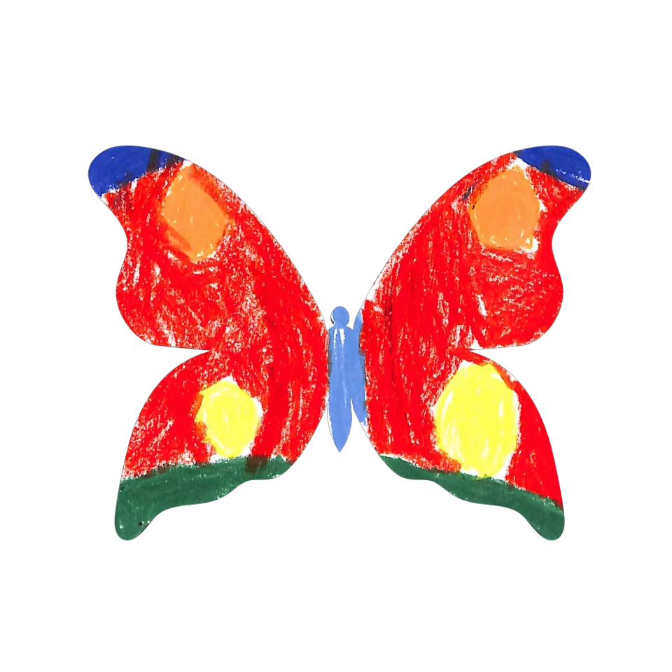 Original Butterfly Image