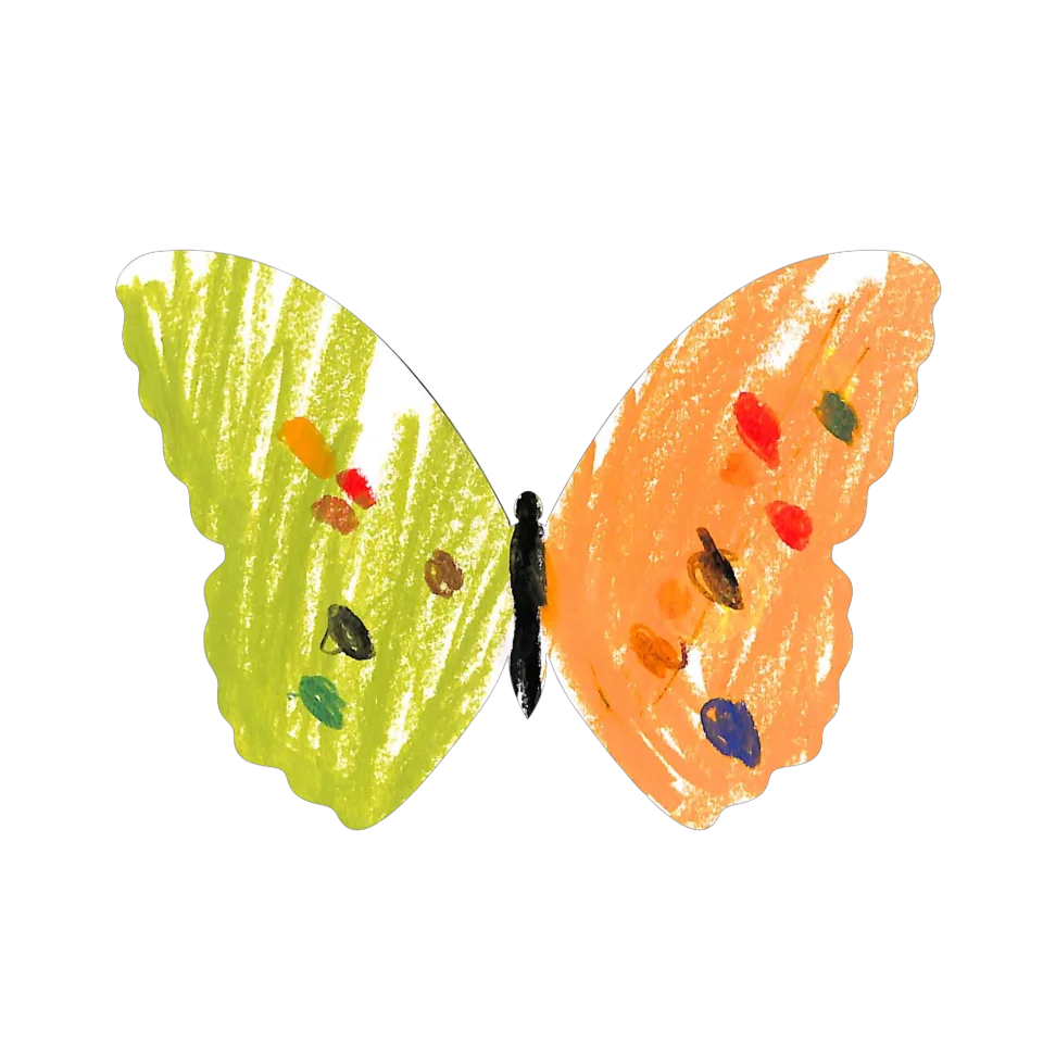Original Butterfly Image