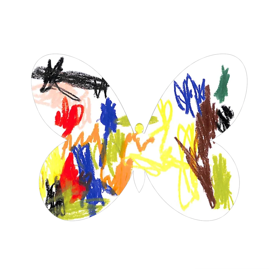 Original Butterfly Image