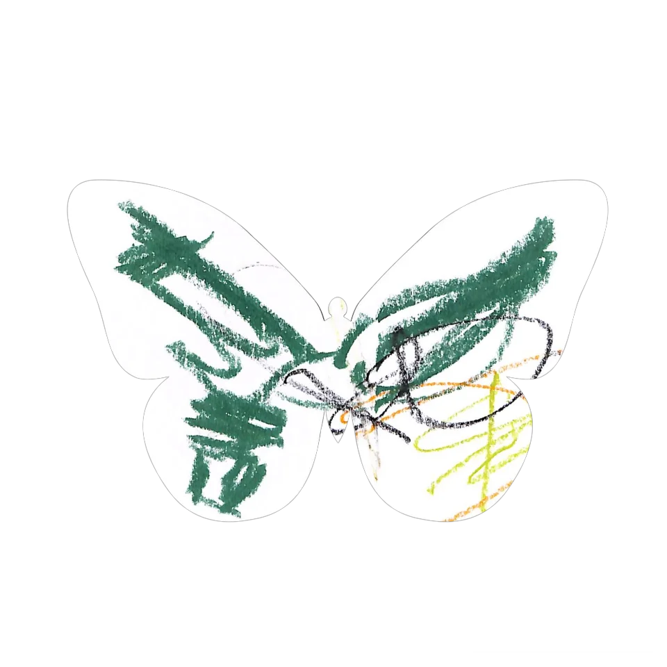 Original Butterfly Image