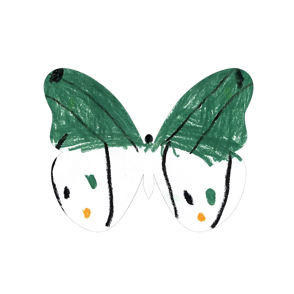 Original Butterfly Image
