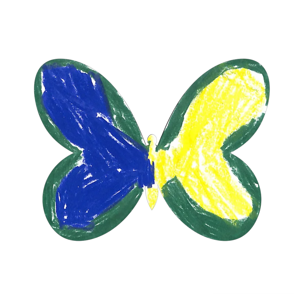 Original Butterfly Image