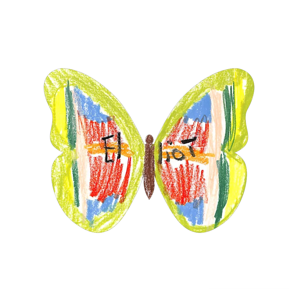 Original Butterfly Image
