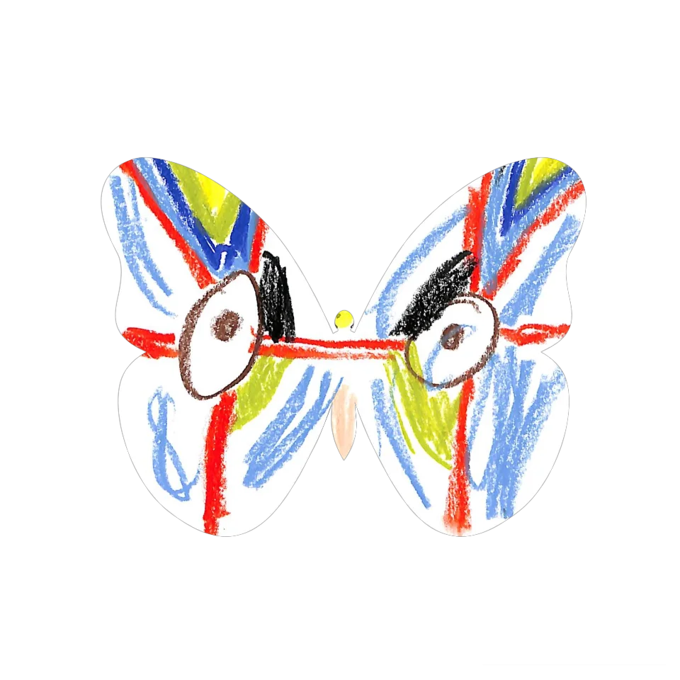 Original Butterfly Image