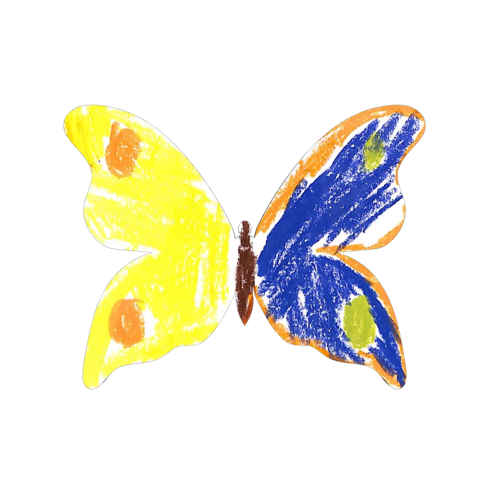 Original Butterfly Image