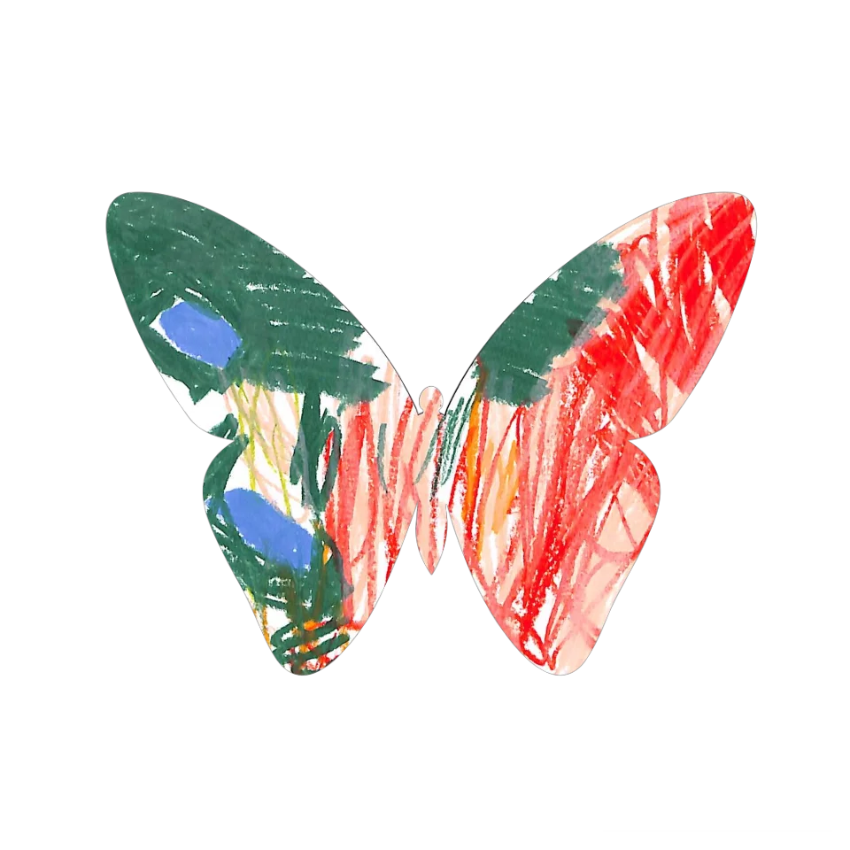 Original Butterfly Image