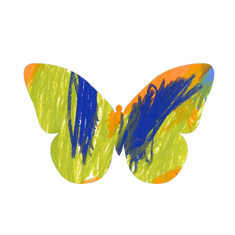 Original Butterfly Image