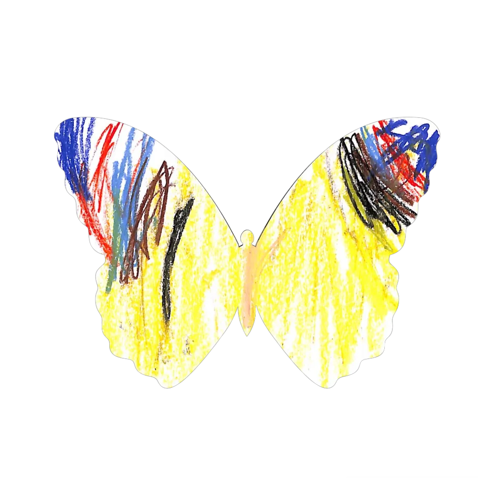 Original Butterfly Image