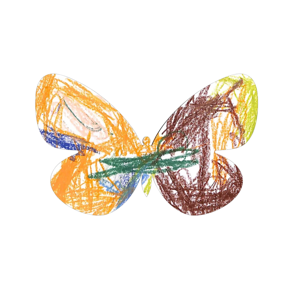 Original Butterfly Image