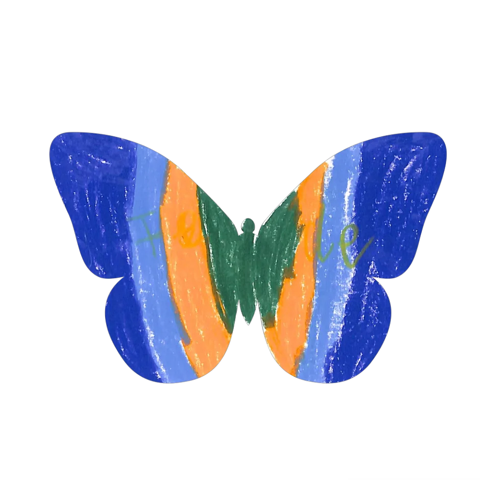 Original Butterfly Image