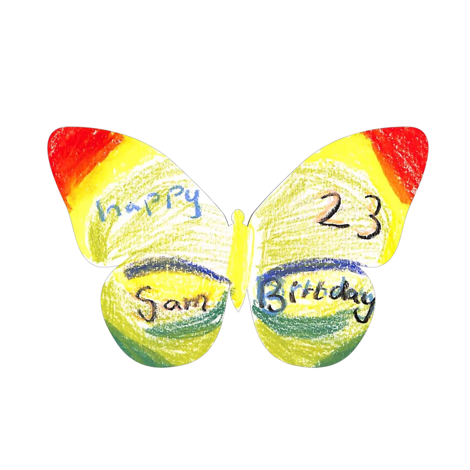 Original Butterfly Image