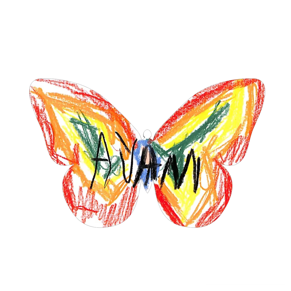Original Butterfly Image