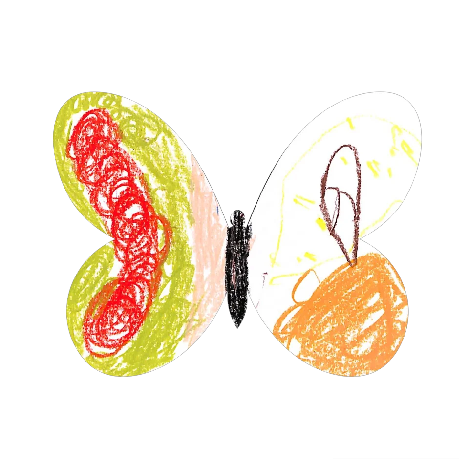 Original Butterfly Image