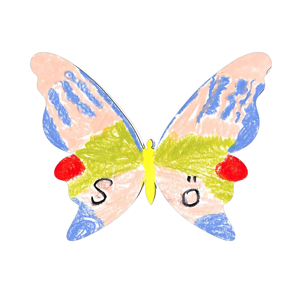 Original Butterfly Image