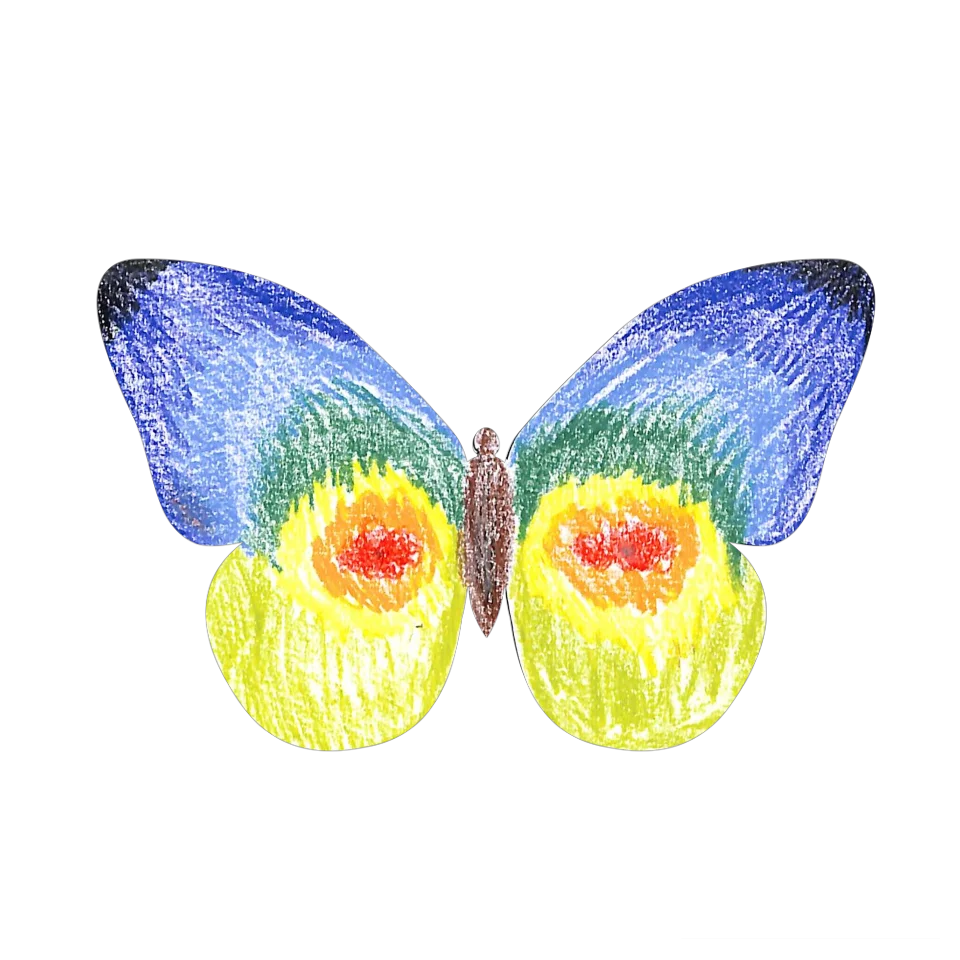 Original Butterfly Image