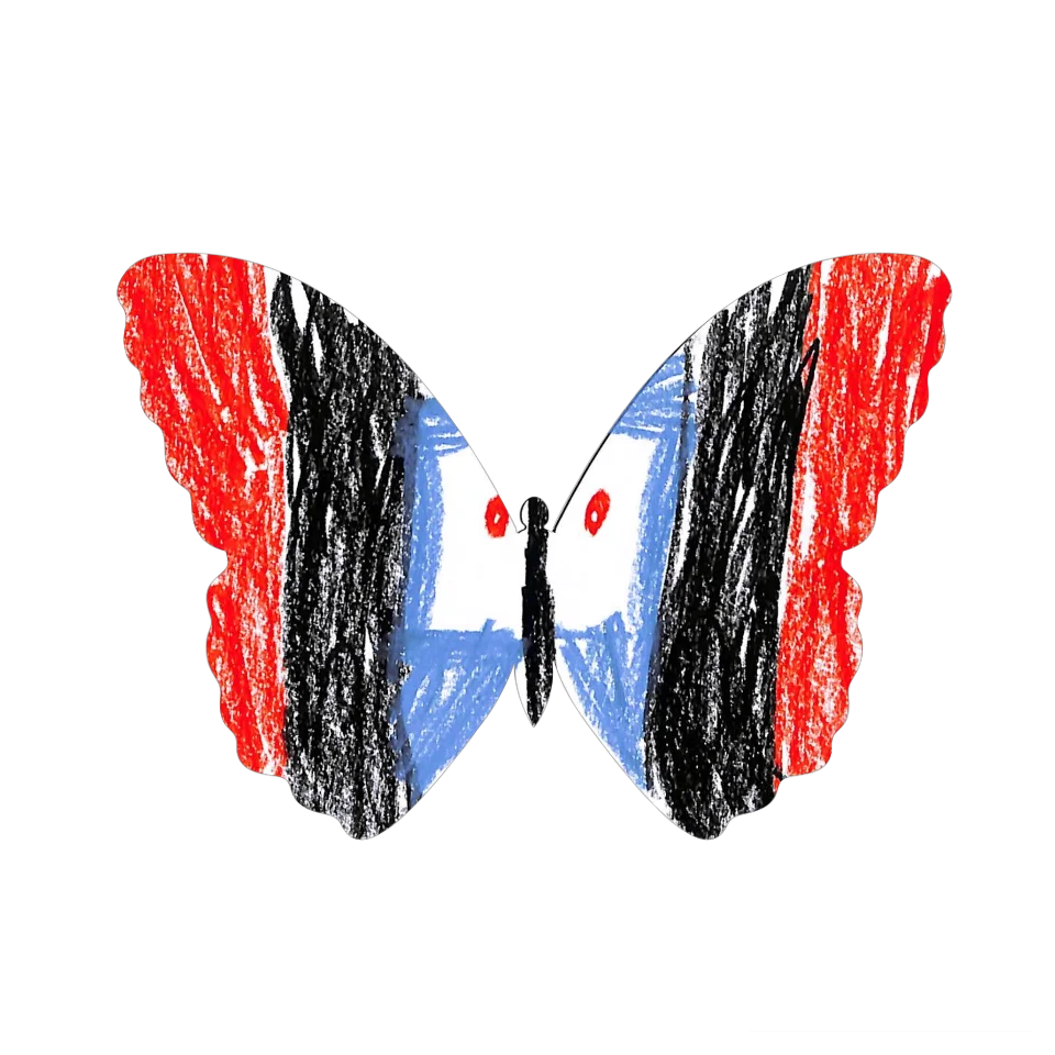 Original Butterfly Image