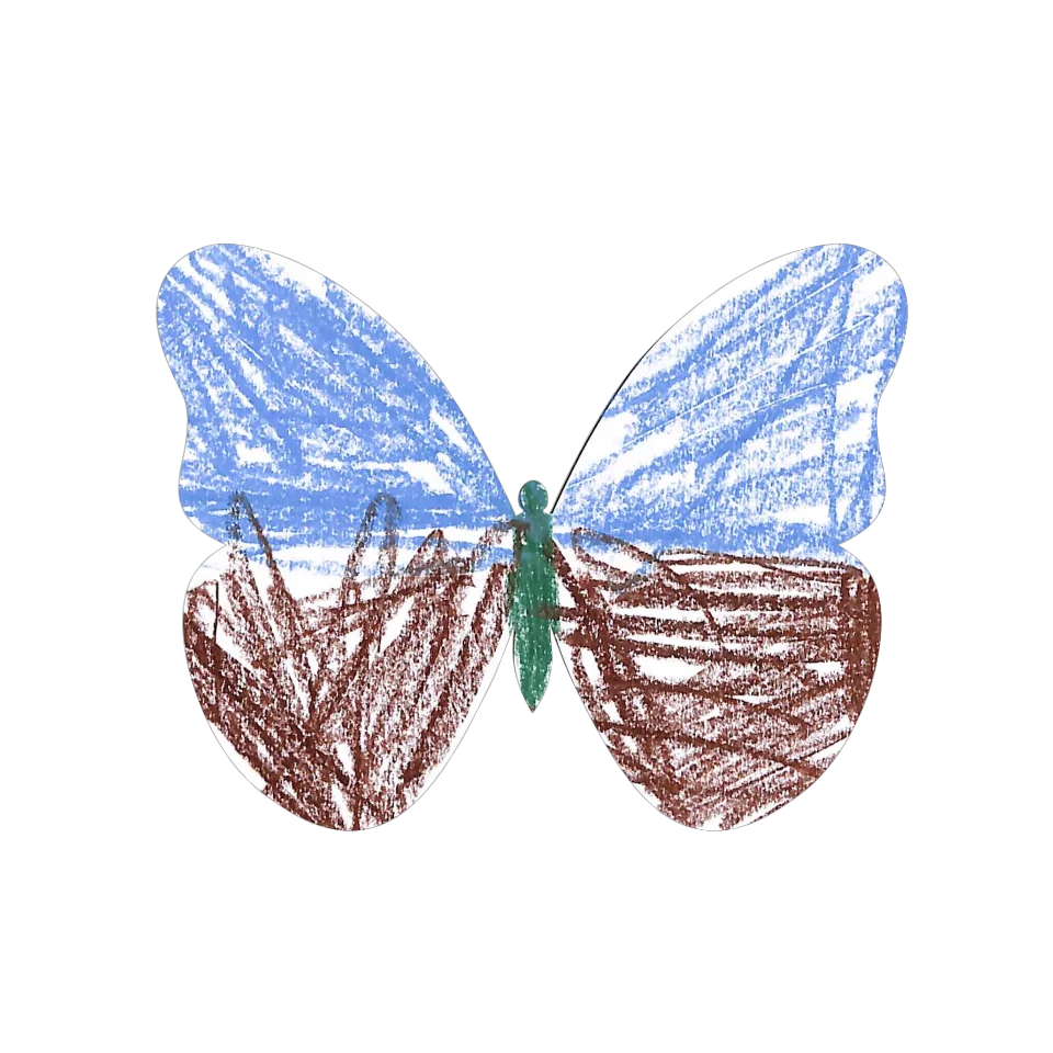 Original Butterfly Image