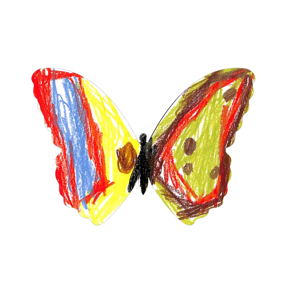 Original Butterfly Image