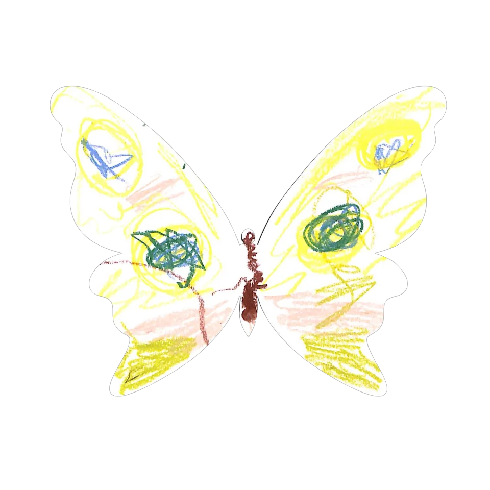 Original Butterfly Image