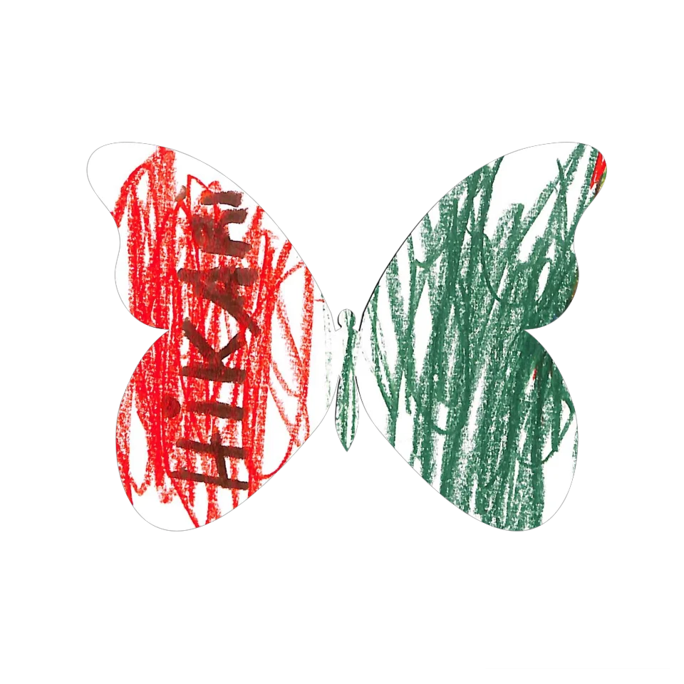 Original Butterfly Image