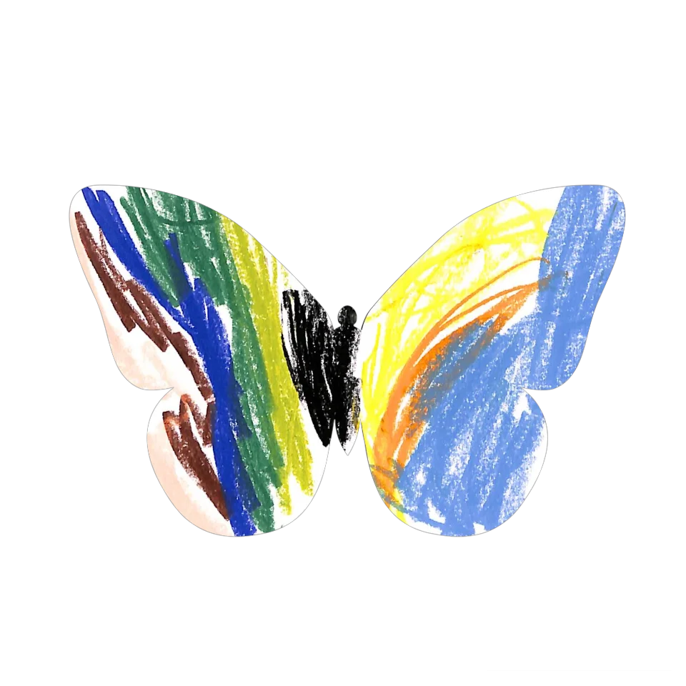 Original Butterfly Image