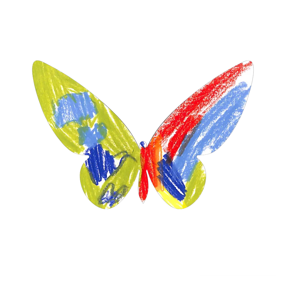 Original Butterfly Image