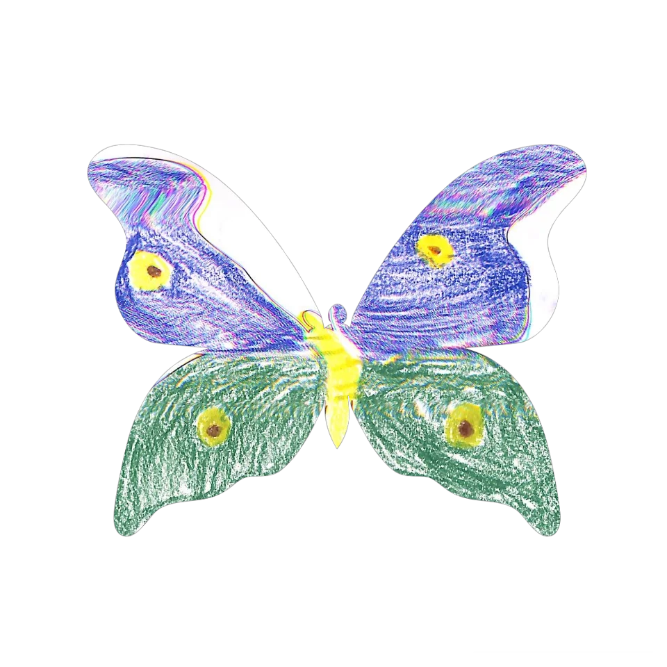 Original Butterfly Image