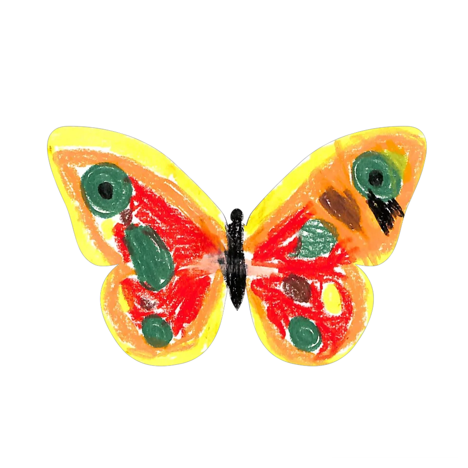 Original Butterfly Image