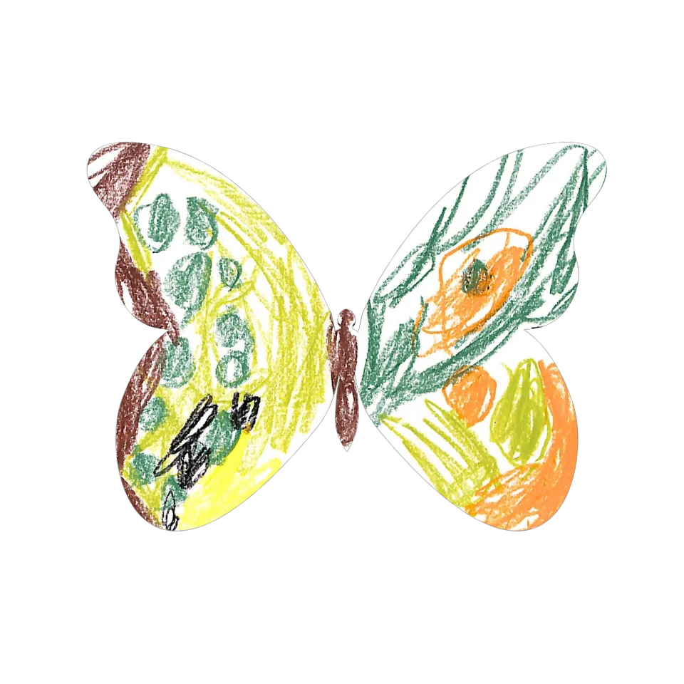 Original Butterfly Image