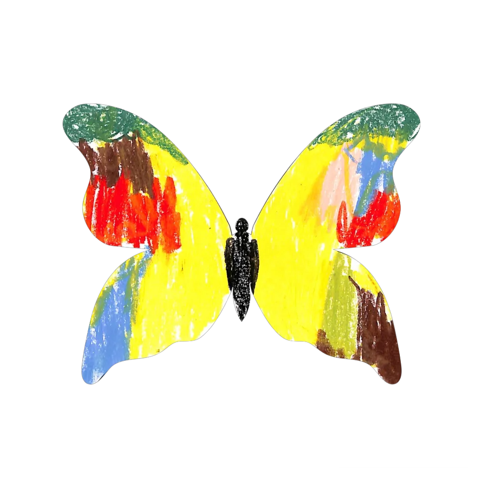 Original Butterfly Image