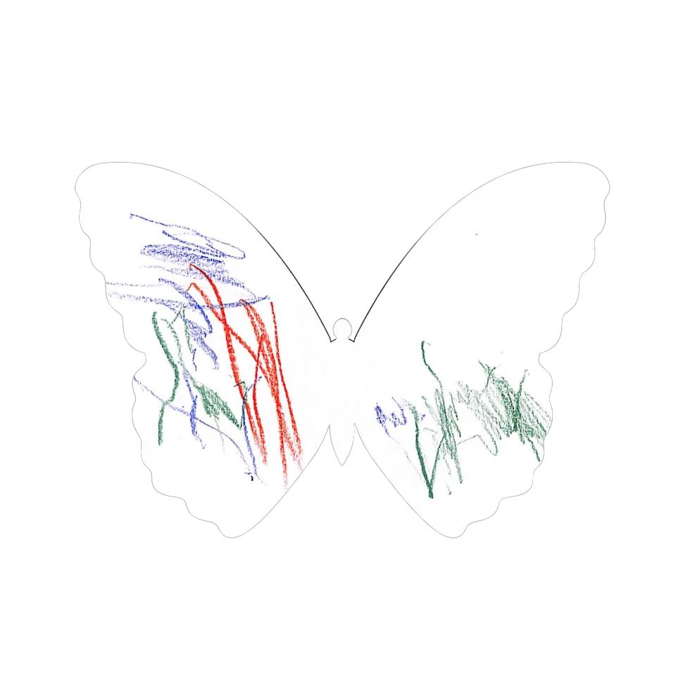 Original Butterfly Image