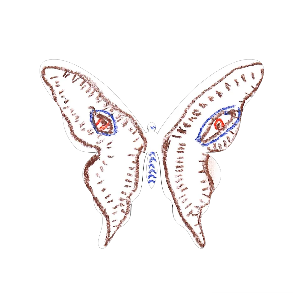Original Butterfly Image
