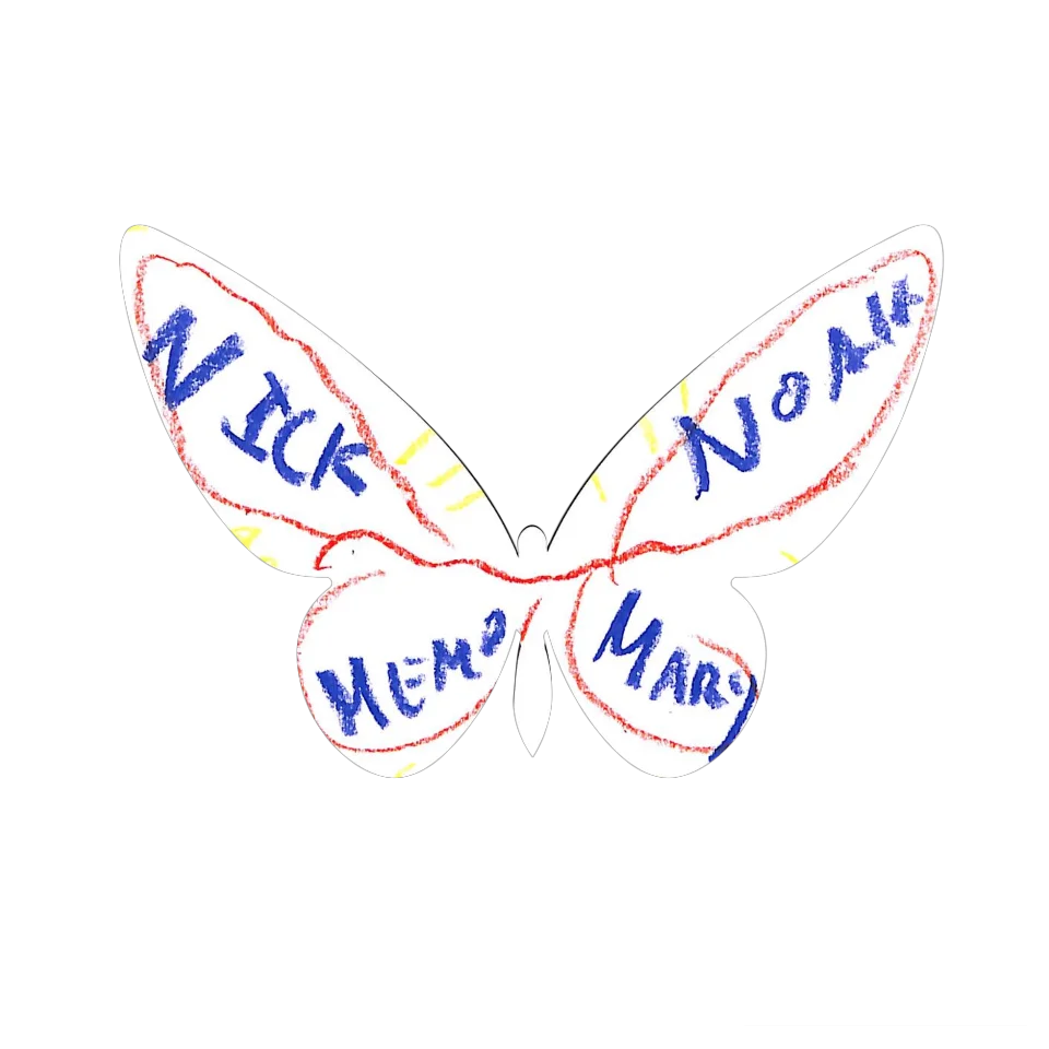 Original Butterfly Image