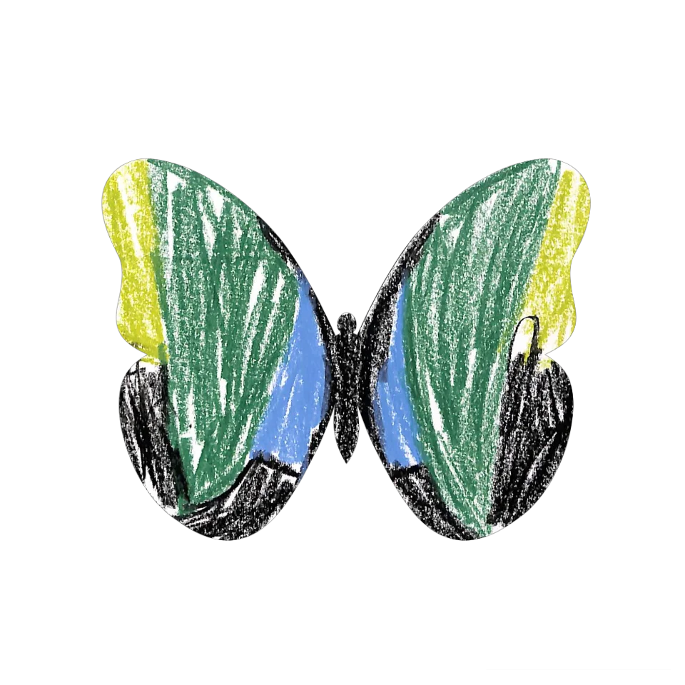 Original Butterfly Image