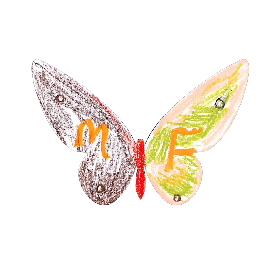 Original Butterfly Image