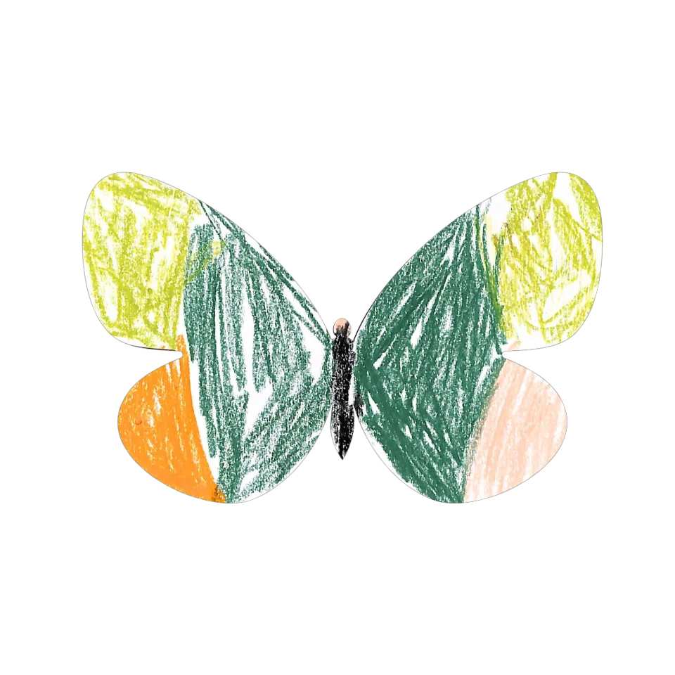 Original Butterfly Image