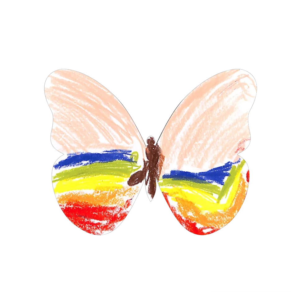 Original Butterfly Image
