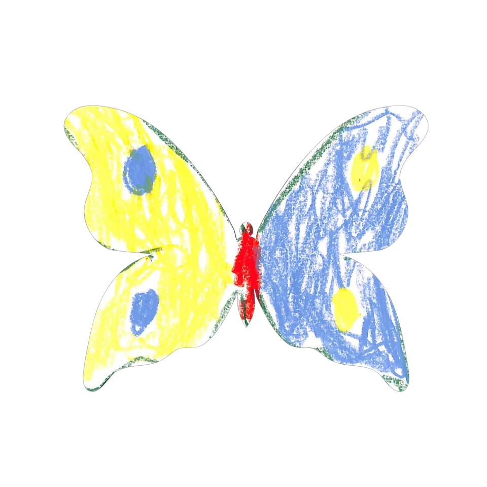 Original Butterfly Image